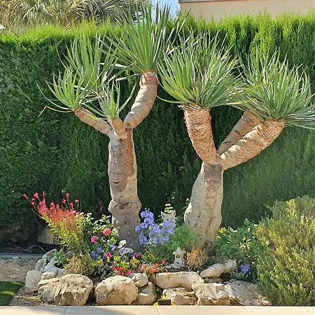 Casa Creativa Costa Blanca Casas Abiar